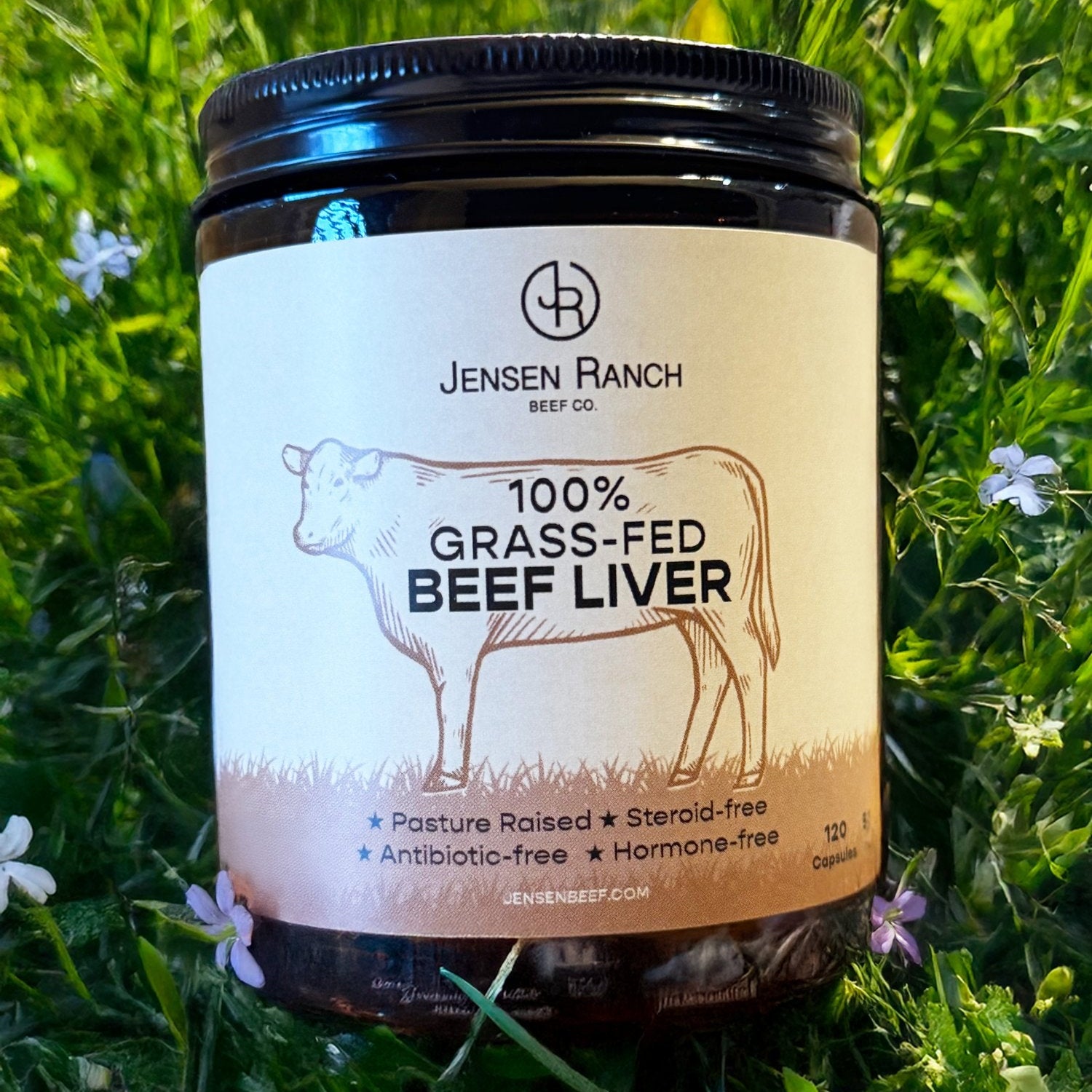 Jensen Ranch Beef Co photo 2